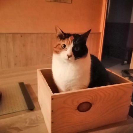 Grande Chambre D'Hote Proche Disneyland Et Parc Des Felins Guérard 외부 사진